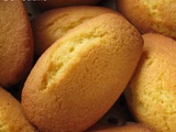 Madeleines