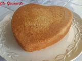 Cake d'amour de Peau d'Ane