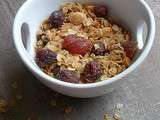 Granola aux fruits rouges (Végan)