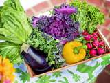 Panier de légumes frais, ça vaut le coup