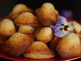 Madeleines à la vanille en vidéo