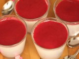 Panna cotta aux groseilles