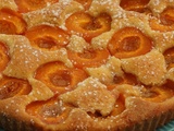 Tarte lorraine sans pâte aux abricots