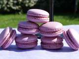 Macaron cranberrie fleur de sel