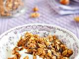 Granola au lait concentré sucré + conseils pour réussir le granola