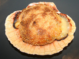 17 recettes de Coquilles Saint Jacques