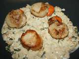 Coquilles Saint Jacques de Normandie tout simplement