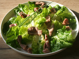 Salade de gésiers et sucrine au soleil