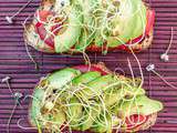 Tartine tomate avocat