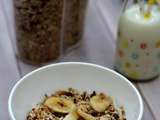 Granola/muesli maison au chocolat, bananes et noix de coco