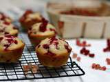 Muffins aux groseilles et amandes