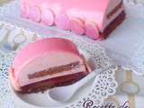 Buche framboise chocolat