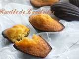 Madeleines a la coque en chocolat