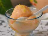 Sorbet de melon sans sorbetière