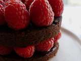 Gabrielle où le Gâteau Chocolat Framboises by Gabrielle #noglu