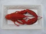 Homard en mars : en verrine ou en sandwich