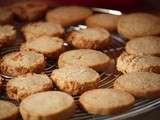 Biscuits aux épices et au rhum