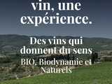 Comment découvrir les vins naturels ou natures