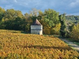 Visite du Château d’Aiguilhe dans l’Appellation Castillon Côtes de Bordeaux