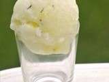 Sorbet au citron, romarin et huile d’olive