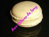 Macarons au cook'in  guy demarle  vanille