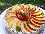 Cheesecake aux nectarines