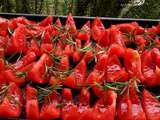 Tomates confites Maison