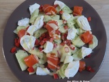 Salade de concombre et poivron à la truite fumée et mozzarella