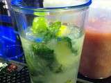 Apprendre à faire des mojitos au Mojito Lab {3 recettes de mojito inside}