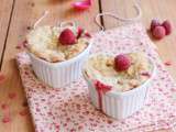 Crumbles aux pommes & framboises