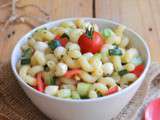 Salade de pâtes aux courgettes, tomates, mozzarella et basilic