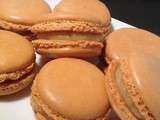 Macarons crème au praliné