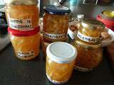 Confit de Gingembre et divers Biscuits