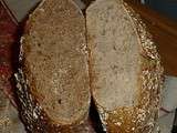 Pain au levain naturel pétris (pln) ou non (plnsp)