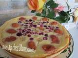 Flan far aux abricots et aux 2 framboises