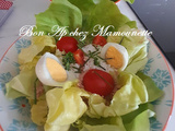 Salade du jardin d’un midi vite faite