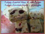 Fudges au chocolat blanc aux pistaches et aux canneberges (Thermomix) - Fudges de chocolate blanco con pistachos y arandanos (Thermomix)