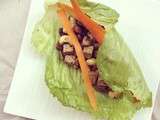 Wraps de salade