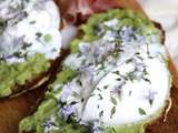 Avocado toast à la burrata