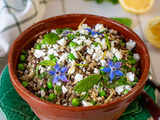 Salade printanière de lentilles au boulgour