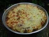 Parmentier de canard