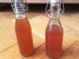 Sirop de rhubarbe