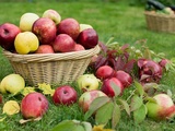 60 recettes à tomber dans les pommes