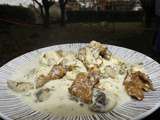 Blanquette de dinde aux champignons (de Paris et Girolles)