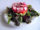 Tartare de tomates, d’avocat et de radis