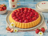 Gâteau aux fraises ▷ avec pudding à la vanille et base de génoise simple