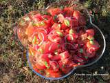 Salade de tomates, pastèque et pamplemousse, vinaigrette à la vanille