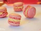 Macarons à la rose