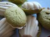 Madeleines thé vert Matcha-chocolat blanc