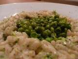 Risotto à l’ail des ours, brocoli, et petits pois : chat versus lave-vaisselle